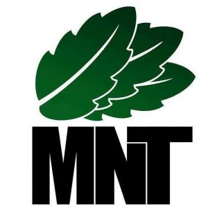 MNT Grading